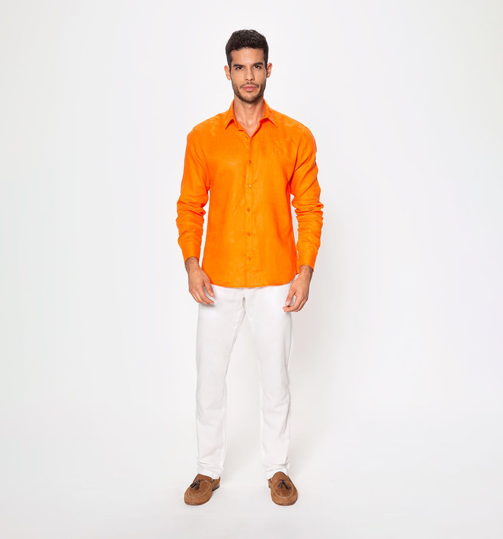 Camisa en lino manga larga regular fit