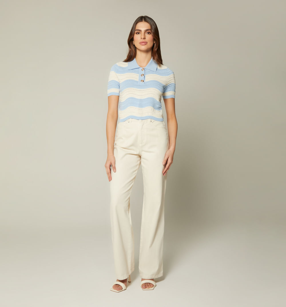 Blusa boxi tipo polo